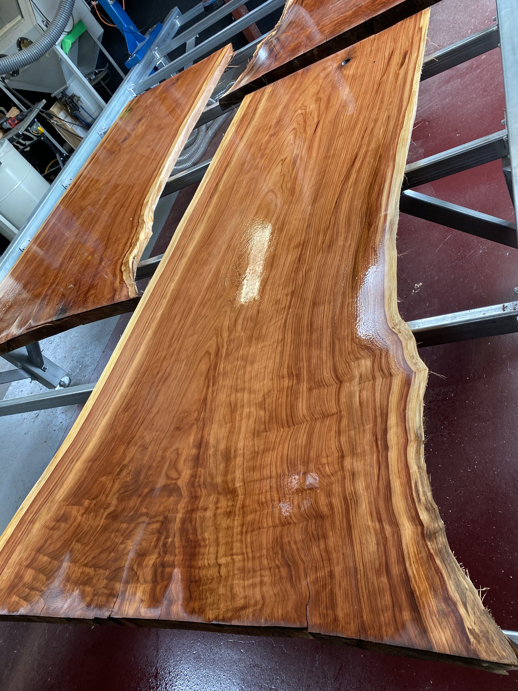 Polished live edge slabs in the shop