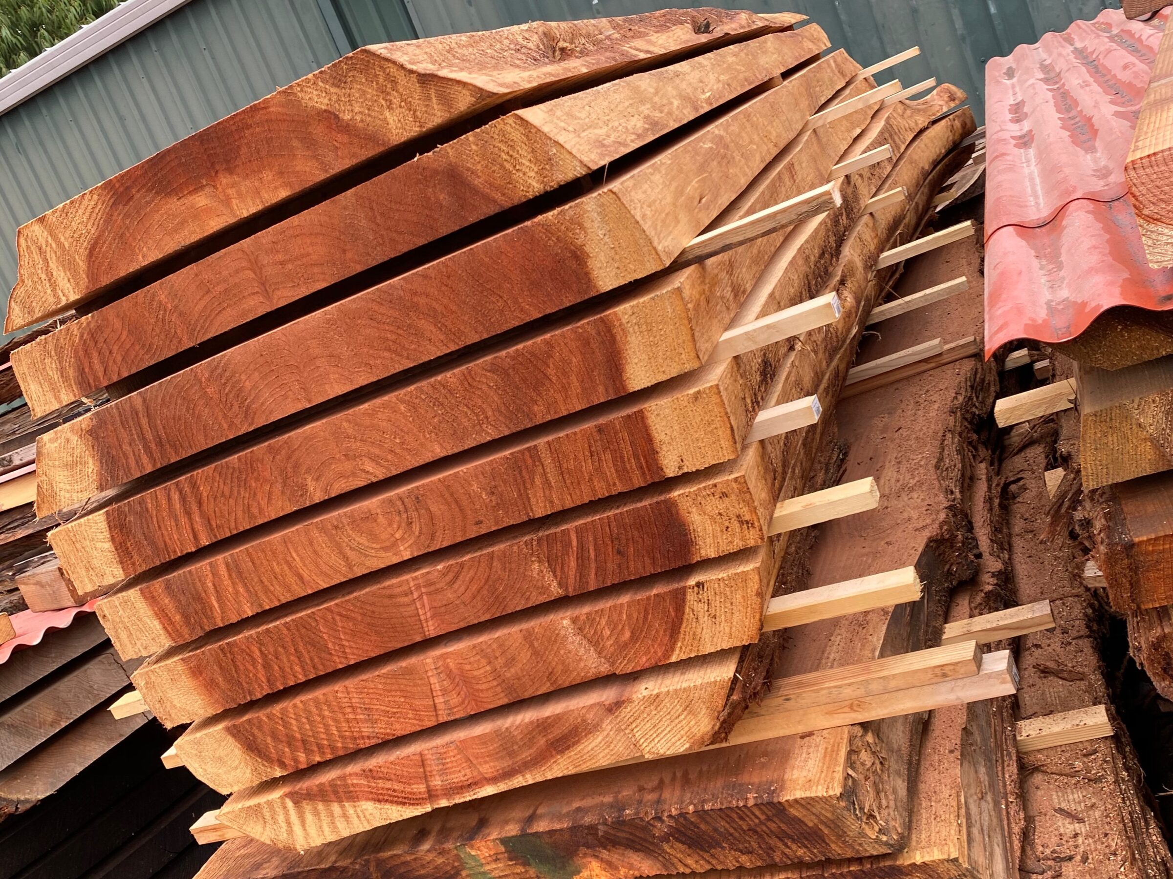 Stickered live edge slabs seasoning in the yard