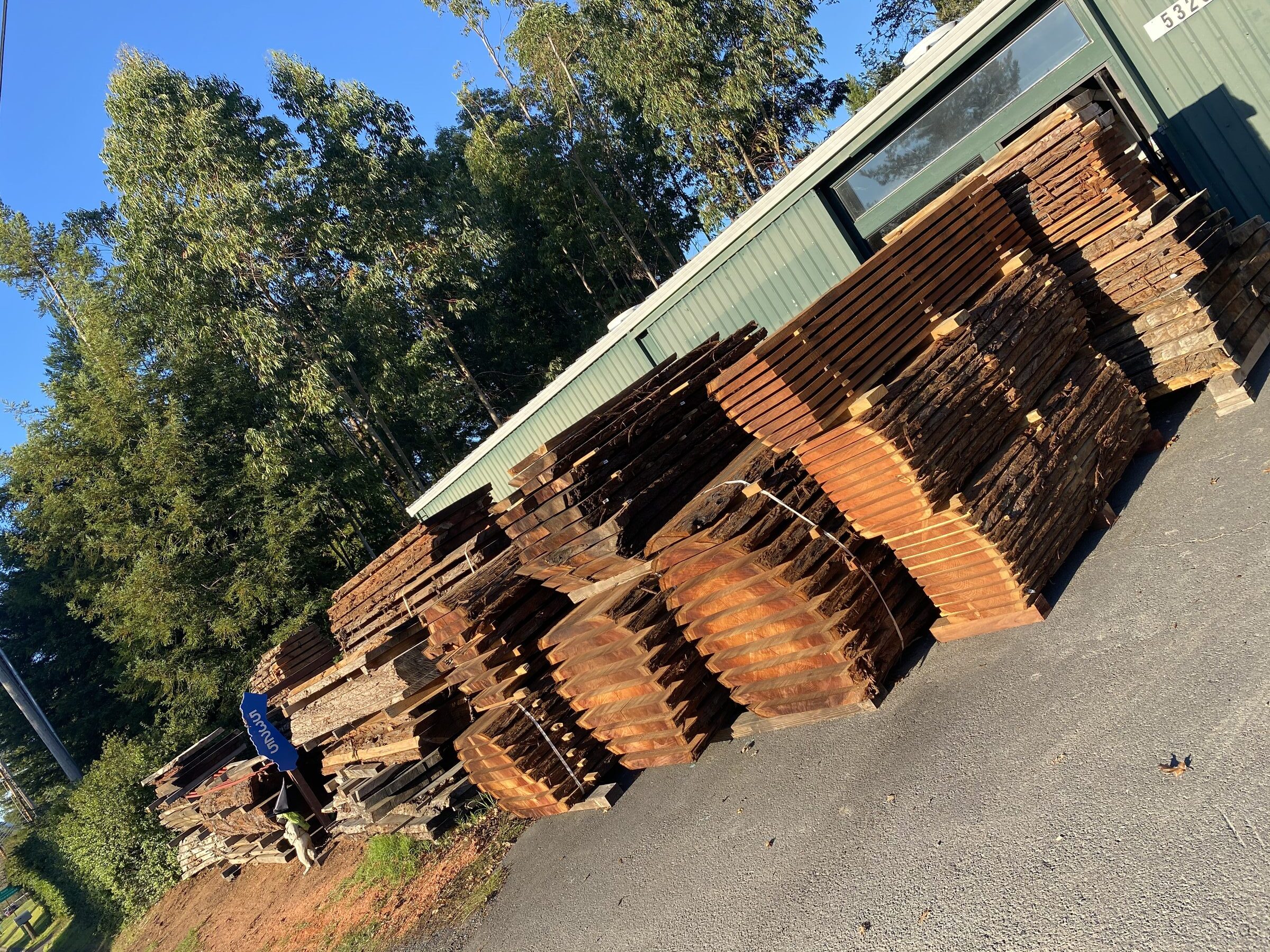 Rows of outdoor live edge slab stacks